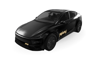 Unofficial Robotaxi on Model Y (2025+) Performance