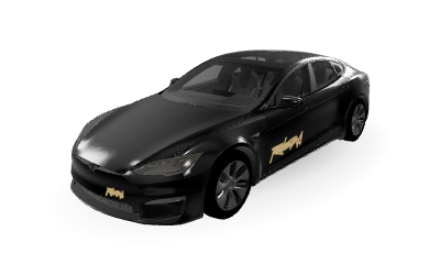 Unofficial Robotaxi on Model S 2021–2025 · Before refresh