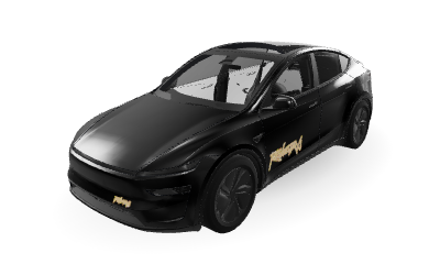 Unofficial Robotaxi on Model Y (2025+) Premium