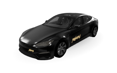 Unofficial Robotaxi on Model S 2025+ Plaid