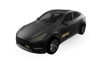 Unofficial Robotaxi on Model Y 2020–2024