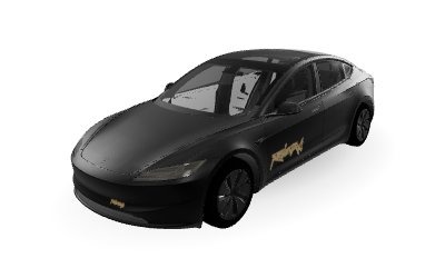 Unofficial Robotaxi on Model 3 (2024+) Standard & Premium