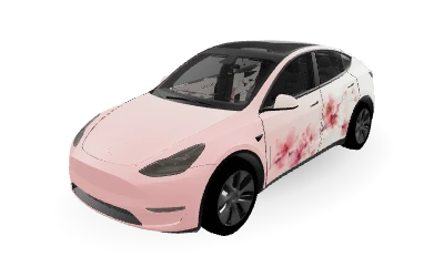 Tokyo Sakura Drift